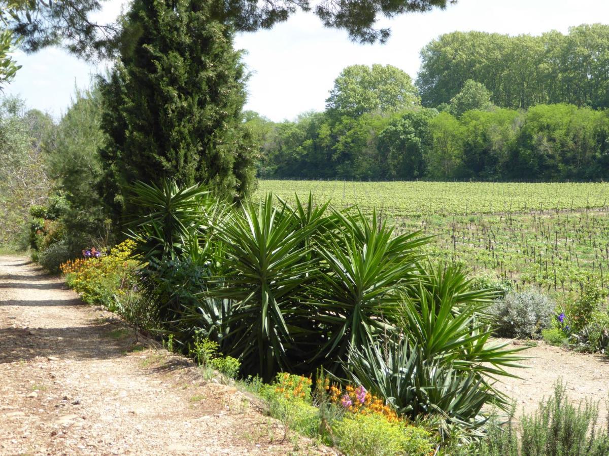 Domaine De L'Herbe Sainte Mirepeisset Buitenkant foto