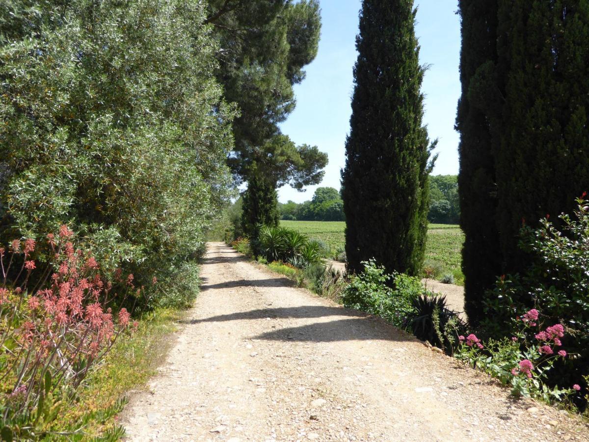 Domaine De L'Herbe Sainte Mirepeisset Buitenkant foto
