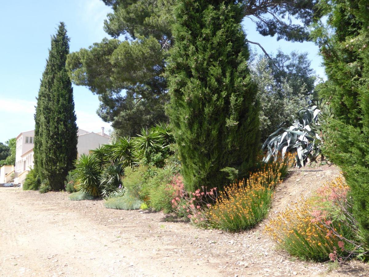 Domaine De L'Herbe Sainte Mirepeisset Buitenkant foto