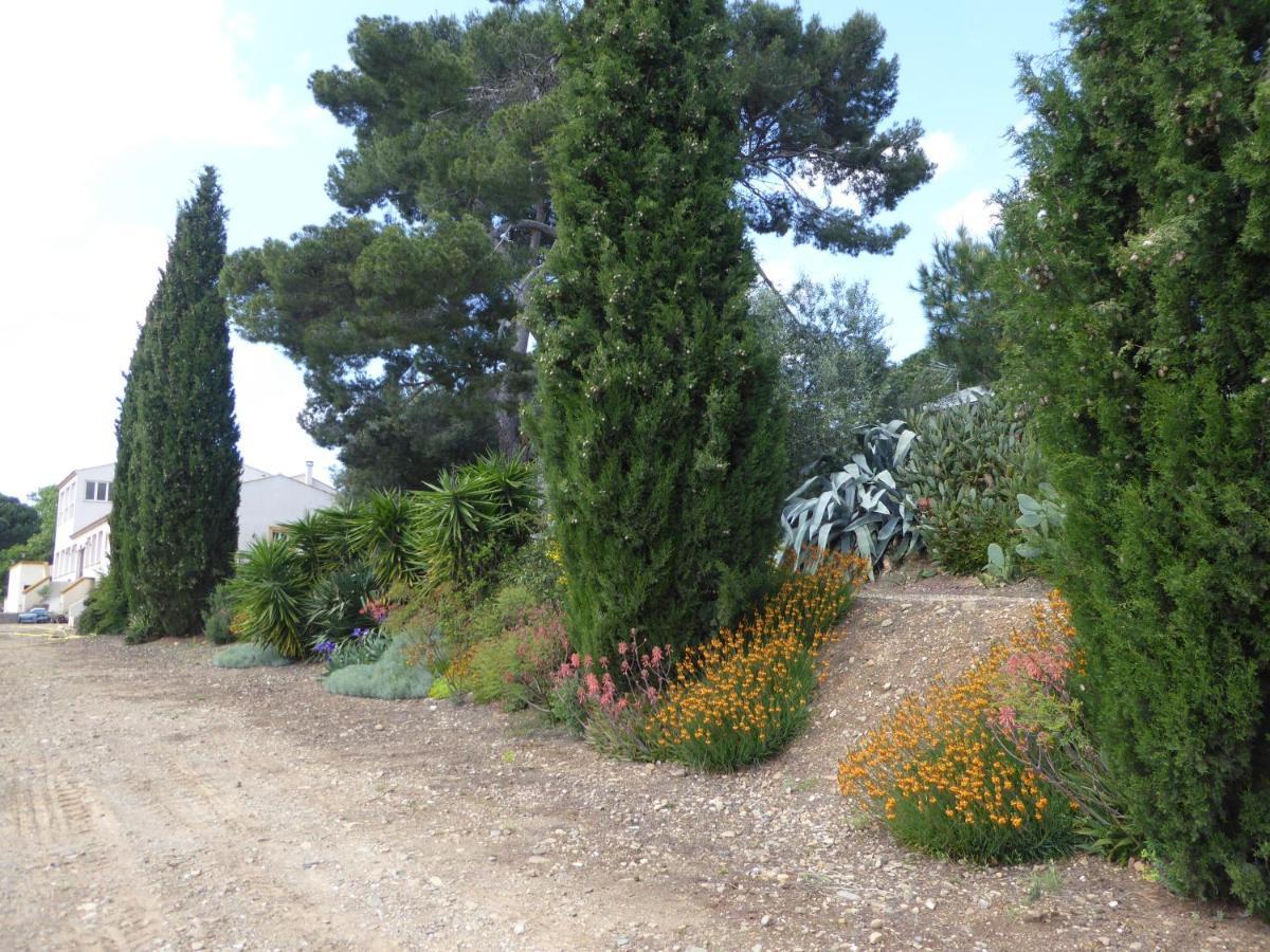 Domaine De L'Herbe Sainte Mirepeisset Buitenkant foto