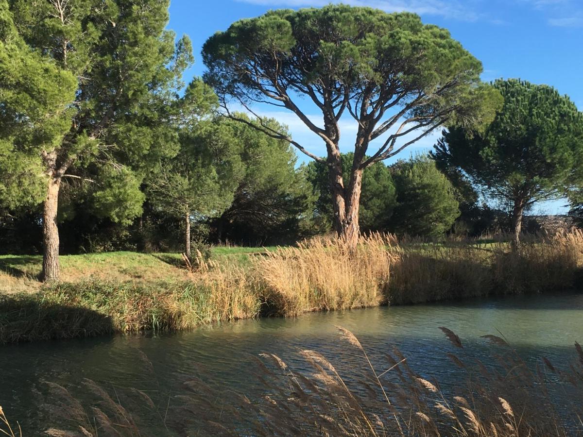 Domaine De L'Herbe Sainte Mirepeisset Buitenkant foto