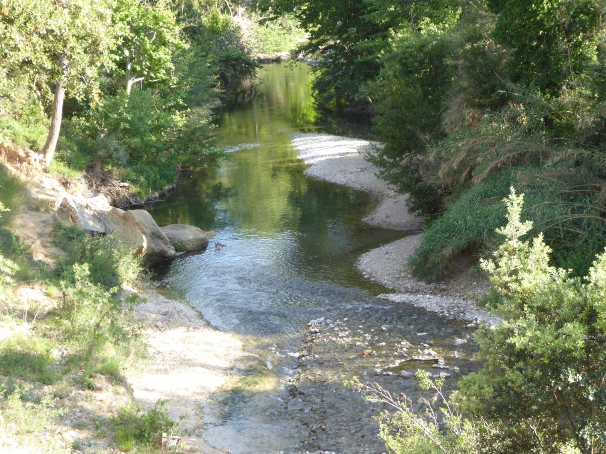 Domaine De L'Herbe Sainte Mirepeisset Buitenkant foto