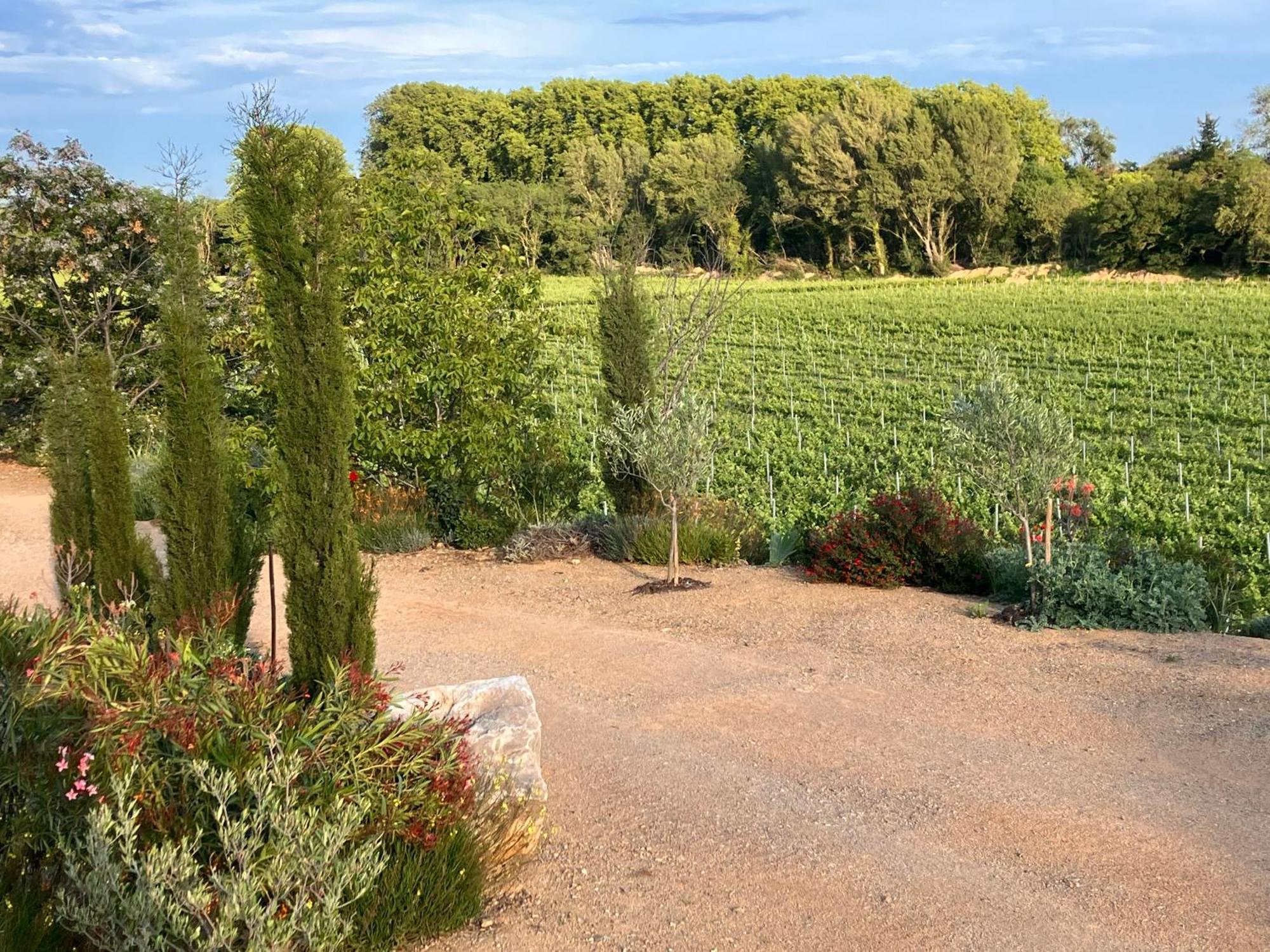 Domaine De L'Herbe Sainte Mirepeisset Buitenkant foto