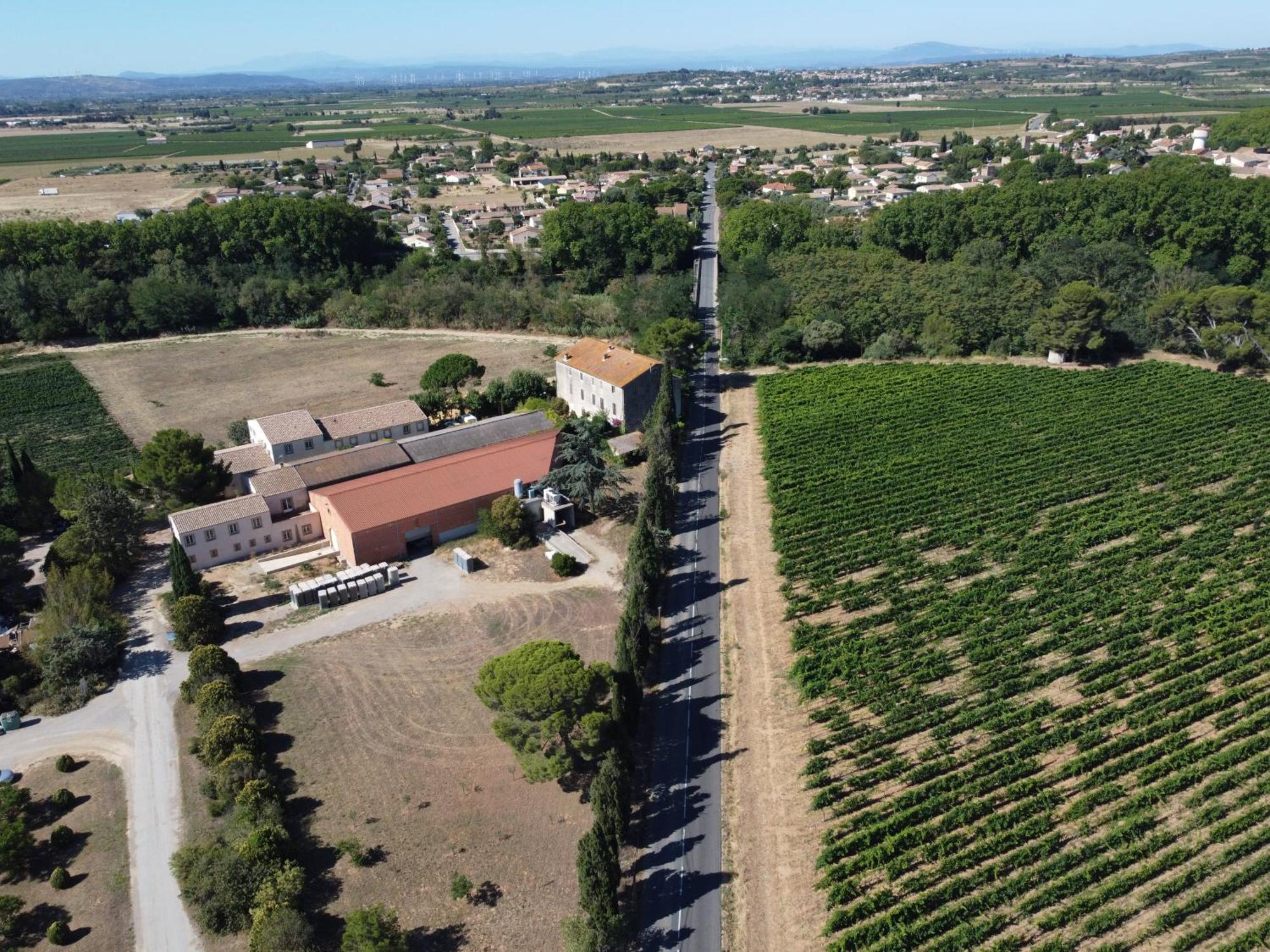 Domaine De L'Herbe Sainte Mirepeisset Buitenkant foto