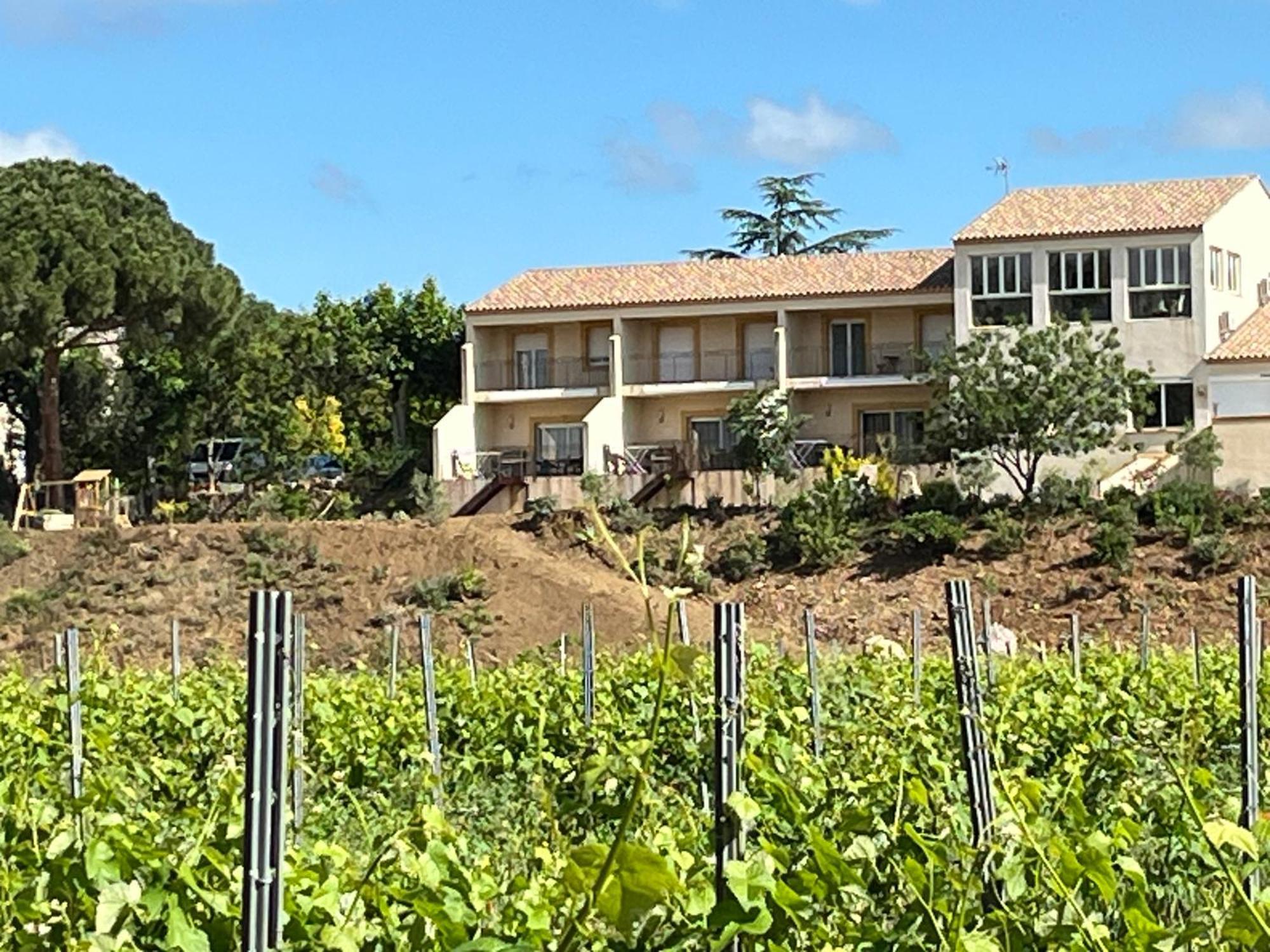 Domaine De L'Herbe Sainte Mirepeisset Buitenkant foto